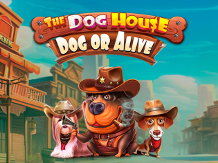 The Dog House – Dog or Alive